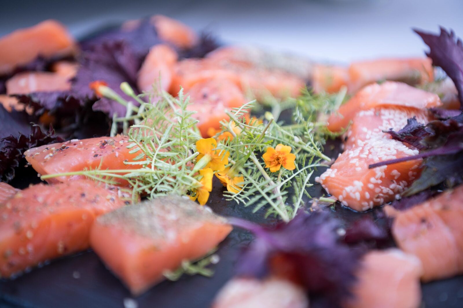 Steuerberaterkammer-Sommerfest-15-C-Sebastianhoehn