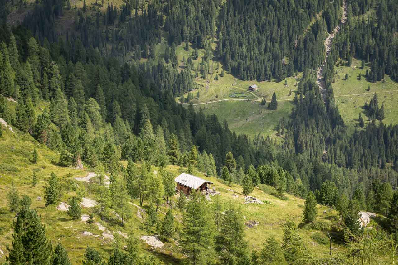 Trelebtischalm im Debanttal in Osttirol