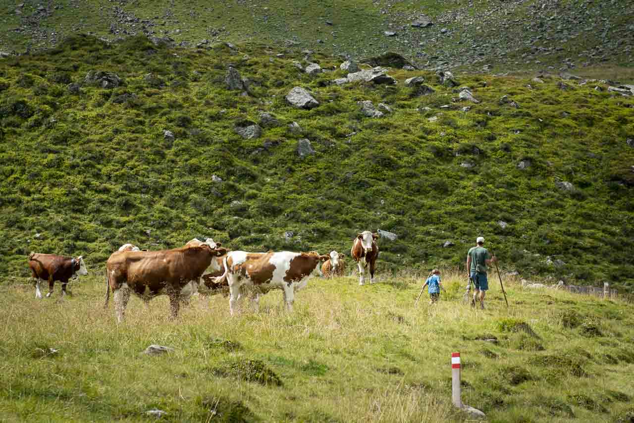 Rinderhirten auf der Trelebtischalm im Nationalpark Hohe Tauern