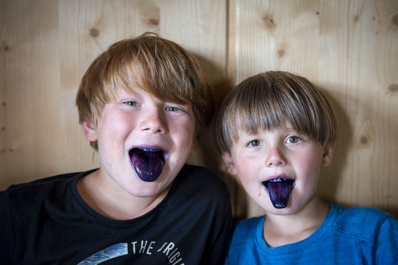 Die blauen Zungen der Kinder nach einer Blaubeermahlzeit auf der Alm in Osttirol